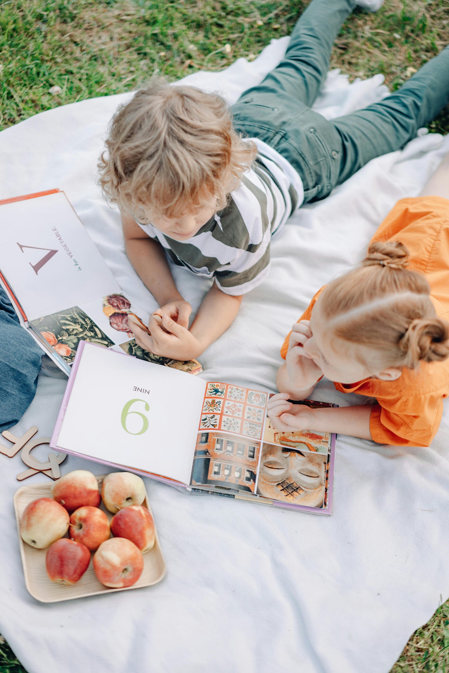 Learning, Sensory Toys and Books